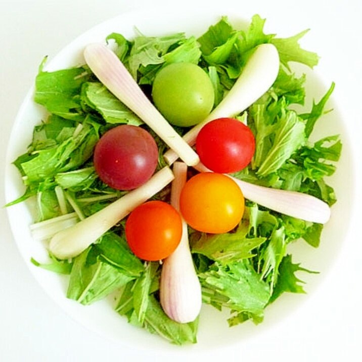 エシャレットと水菜とカラフルトマトのサラダ